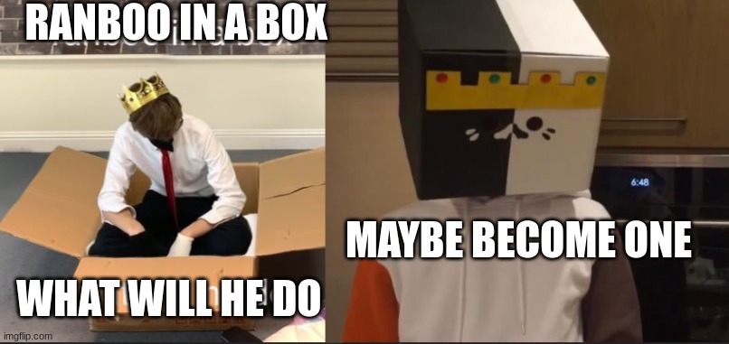 Ranboo in a box what will he do | RANBOO IN A BOX; MAYBE BECOME ONE; WHAT WILL HE DO | image tagged in ranboo,boxboo | made w/ Imgflip meme maker