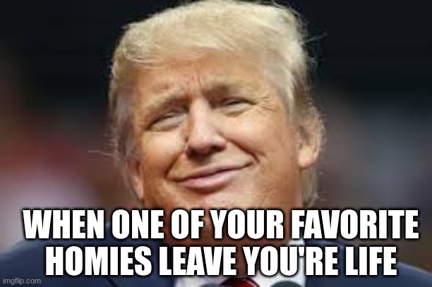 Agree=Upvote | WHEN ONE OF YOUR FAVORITE HOMIES LEAVE YOU'RE LIFE | image tagged in donald trump,homies | made w/ Imgflip meme maker