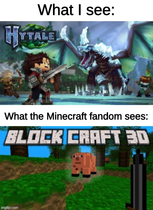 Hytale |  What I see:; What the Minecraft fandom sees: | made w/ Imgflip meme maker