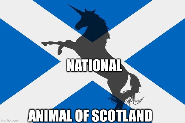 NATIONAL; ANIMAL OF SCOTLAND | image tagged in facts | made w/ Imgflip meme maker