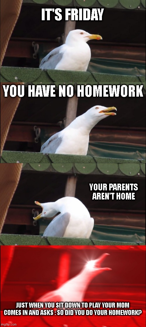 Inhaling Seagull | IT'S FRIDAY; YOU HAVE NO HOMEWORK; YOUR PARENTS AREN'T HOME; JUST WHEN YOU SIT DOWN TO PLAY YOUR MOM COMES IN AND ASKS : SO DID YOU DO YOUR HOMEWORK? | image tagged in memes,inhaling seagull | made w/ Imgflip meme maker