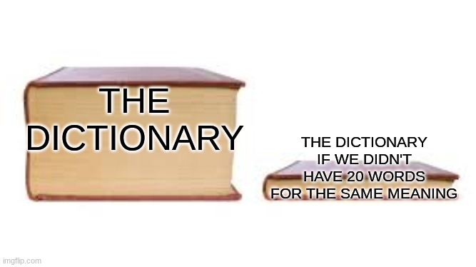 Big book small book | THE DICTIONARY; THE DICTIONARY IF WE DIDN'T HAVE 20 WORDS FOR THE SAME MEANING | image tagged in big book small book | made w/ Imgflip meme maker