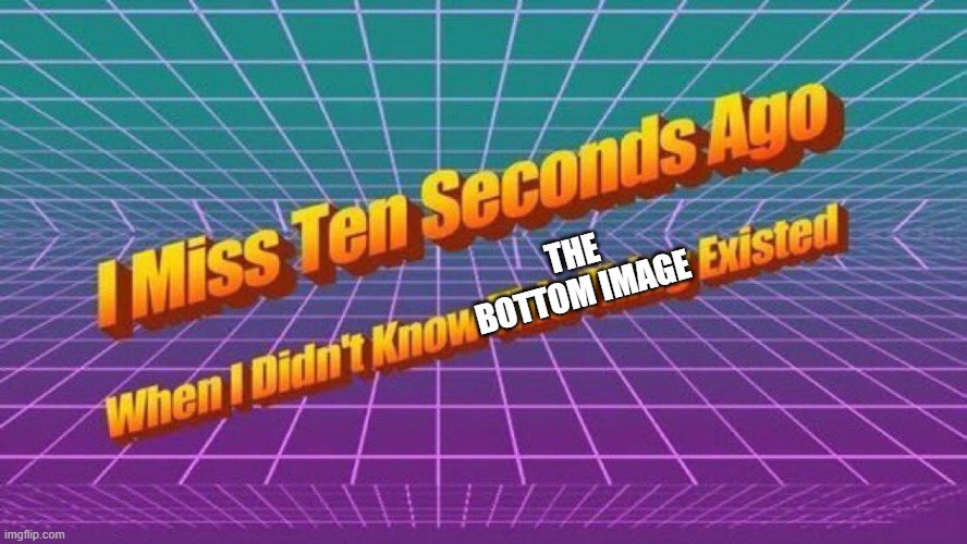 I miss ten seconds ago | THE BOTTOM IMAGE | image tagged in i miss ten seconds ago | made w/ Imgflip meme maker