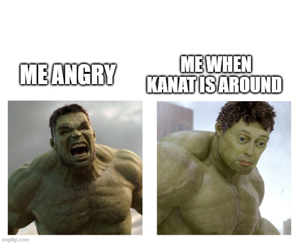 Hulk angry then realizes he's wrong | ME ANGRY ME WHEN KANAT IS AROUND | image tagged in hulk angry then realizes he's wrong | made w/ Imgflip meme maker