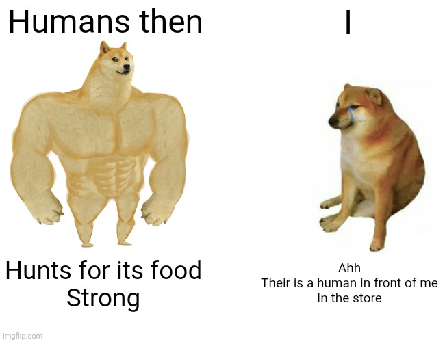 Buff Doge vs. Cheems Meme | Humans then; I; Hunts for its food
Strong; Ahh
Their is a human in front of me
In the store | image tagged in memes,buff doge vs cheems | made w/ Imgflip meme maker