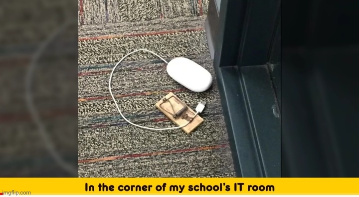 image tagged in funny memes | made w/ Imgflip meme maker