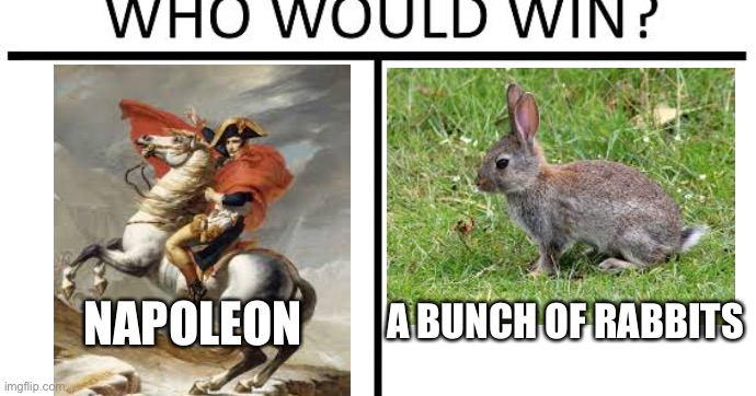 Who would win | A BUNCH OF RABBITS; NAPOLEON | image tagged in history | made w/ Imgflip meme maker