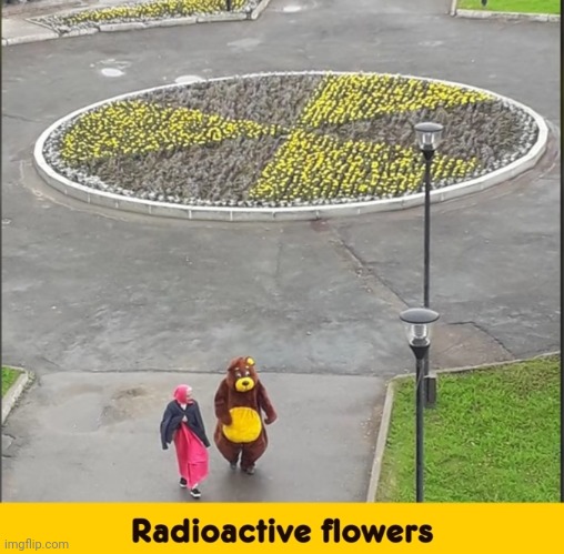 image tagged in funny memes | made w/ Imgflip meme maker