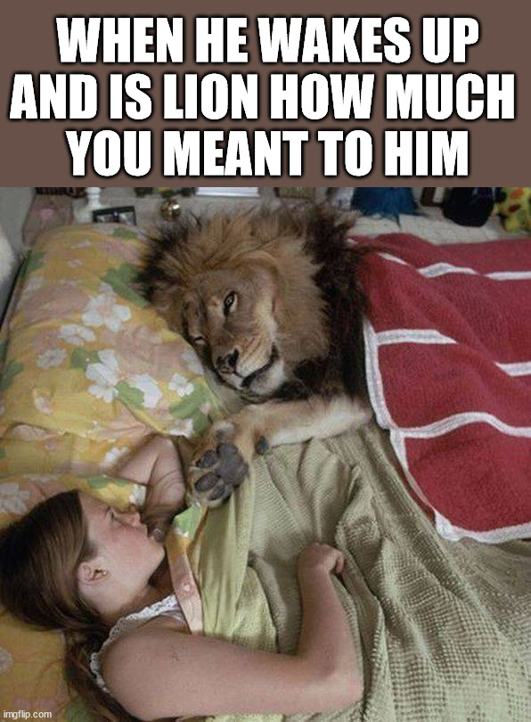 WHEN HE WAKES UP AND IS LION HOW MUCH 
YOU MEANT TO HIM | image tagged in eye roll | made w/ Imgflip meme maker