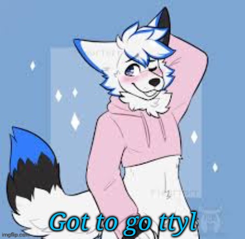 Cya! | Got to go ttyl | image tagged in femboy furry | made w/ Imgflip meme maker