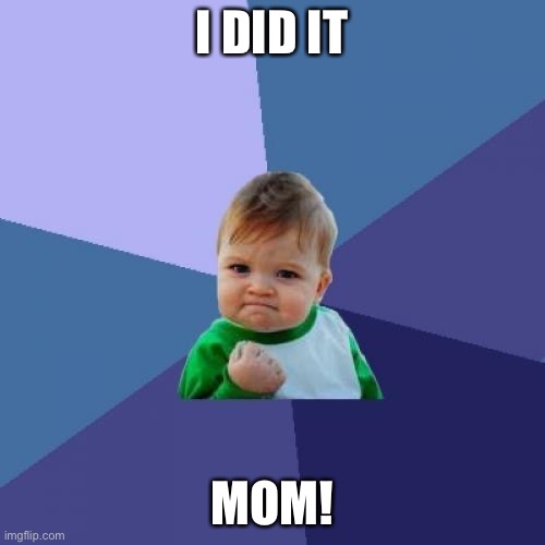 Success Kid | I DID IT; MOM! | image tagged in memes,success kid | made w/ Imgflip meme maker