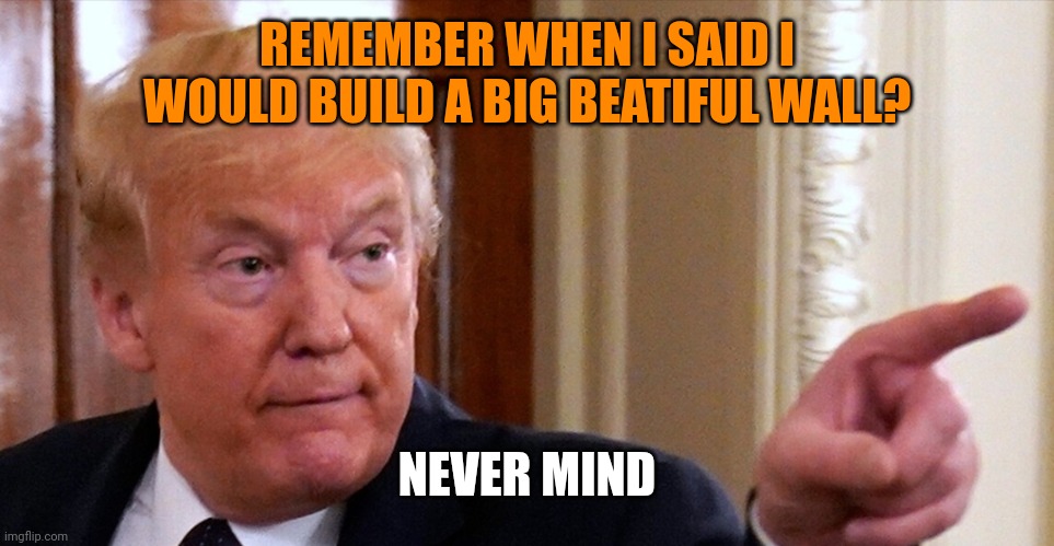 Trump pointing | REMEMBER WHEN I SAID I WOULD BUILD A BIG BEATIFUL WALL? NEVER MIND | image tagged in trump pointing | made w/ Imgflip meme maker