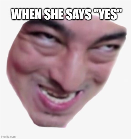 She said yes | WHEN SHE SAYS "YES" | image tagged in when she,funny face | made w/ Imgflip meme maker