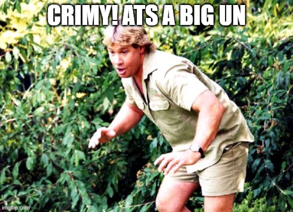 Crocodile Hunter Steve Irwin | CRIMY! ATS A BIG UN | image tagged in crocodile hunter steve irwin | made w/ Imgflip meme maker