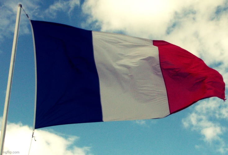 French Flag | image tagged in french flag | made w/ Imgflip meme maker