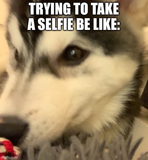 TRYING TO TAKE A SELFIE BE LIKE: | made w/ Imgflip meme maker