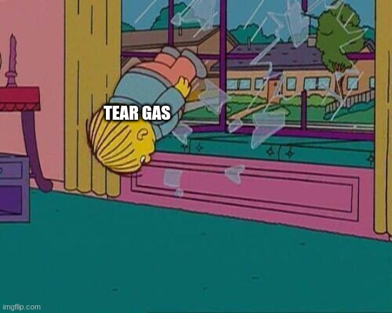 Simpsons Jump Through Window | TEAR GAS | image tagged in simpsons jump through window | made w/ Imgflip meme maker