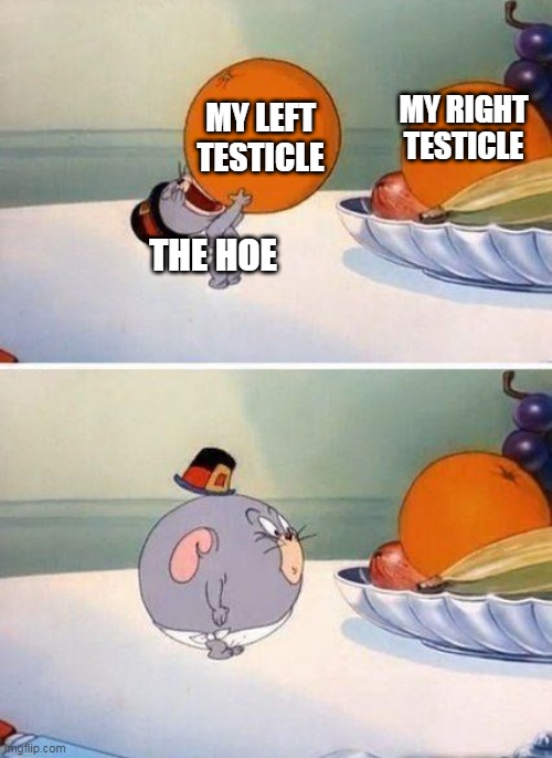 dirty joke warning | MY RIGHT TESTICLE; MY LEFT TESTICLE; THE HOE | image tagged in nibbles eat whole orange,tom and jerry,dirty joke,dirty meme week,warner bros | made w/ Imgflip meme maker