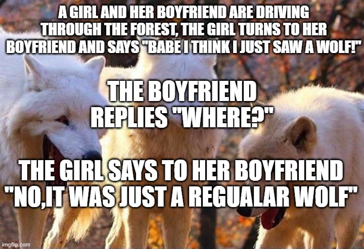 i hope this one made you "howl" with laughter! | A GIRL AND HER BOYFRIEND ARE DRIVING THROUGH THE FOREST, THE GIRL TURNS TO HER BOYFRIEND AND SAYS "BABE I THINK I JUST SAW A WOLF!"; THE BOYFRIEND REPLIES "WHERE?"; THE GIRL SAYS TO HER BOYFRIEND "NO,IT WAS JUST A REGUALAR WOLF" | image tagged in laughing wolf,bad pun,dad joke | made w/ Imgflip meme maker