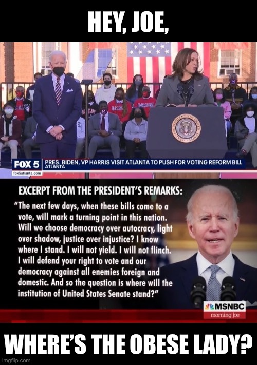 Where is the obese lady? | HEY, JOE, WHERE’S THE OBESE LADY? | image tagged in joe biden,kamala harris,democrat party,election fraud,voter fraud,criminals | made w/ Imgflip meme maker