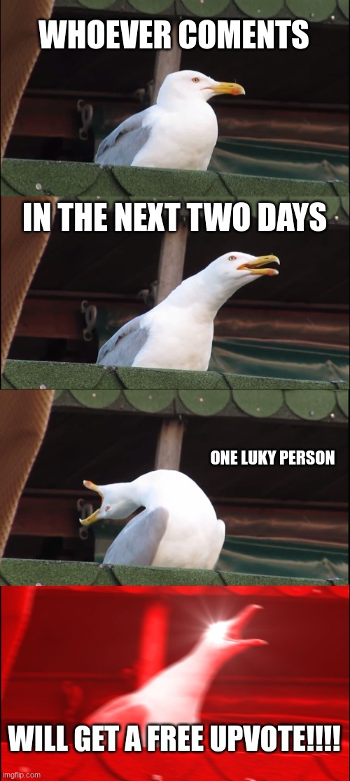 Inhaling Seagull | WHOEVER COMENTS; IN THE NEXT TWO DAYS; ONE LUKY PERSON; WILL GET A FREE UPVOTE!!!! | image tagged in memes,inhaling seagull | made w/ Imgflip meme maker