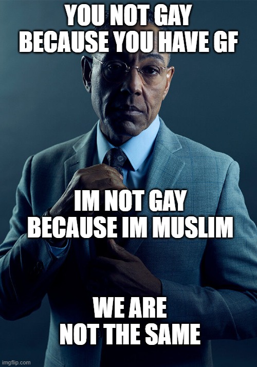 we are not the same | YOU NOT GAY BECAUSE YOU HAVE GF; IM NOT GAY BECAUSE IM MUSLIM; WE ARE NOT THE SAME | image tagged in gus fring we are not the same,fun | made w/ Imgflip meme maker