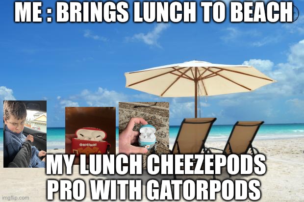 Lunch at the beach | ME : BRINGS LUNCH TO BEACH; MY LUNCH CHEEZEPODS PRO WITH GATORPODS | image tagged in beach | made w/ Imgflip meme maker