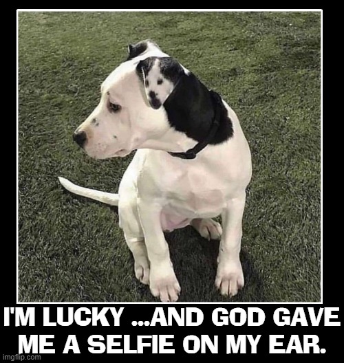 I'M LUCKY ...AND GOD GAVE
ME A SELFIE ON MY EAR. | made w/ Imgflip meme maker