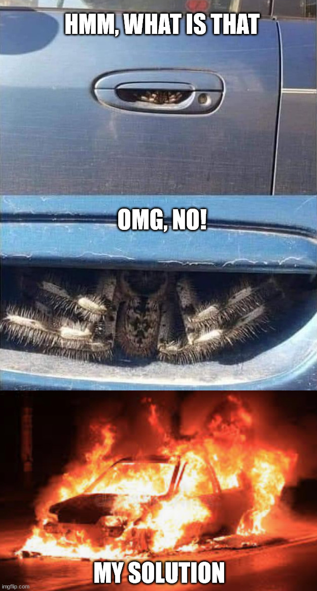 HMM, WHAT IS THAT; OMG, NO! MY SOLUTION | image tagged in burning car | made w/ Imgflip meme maker