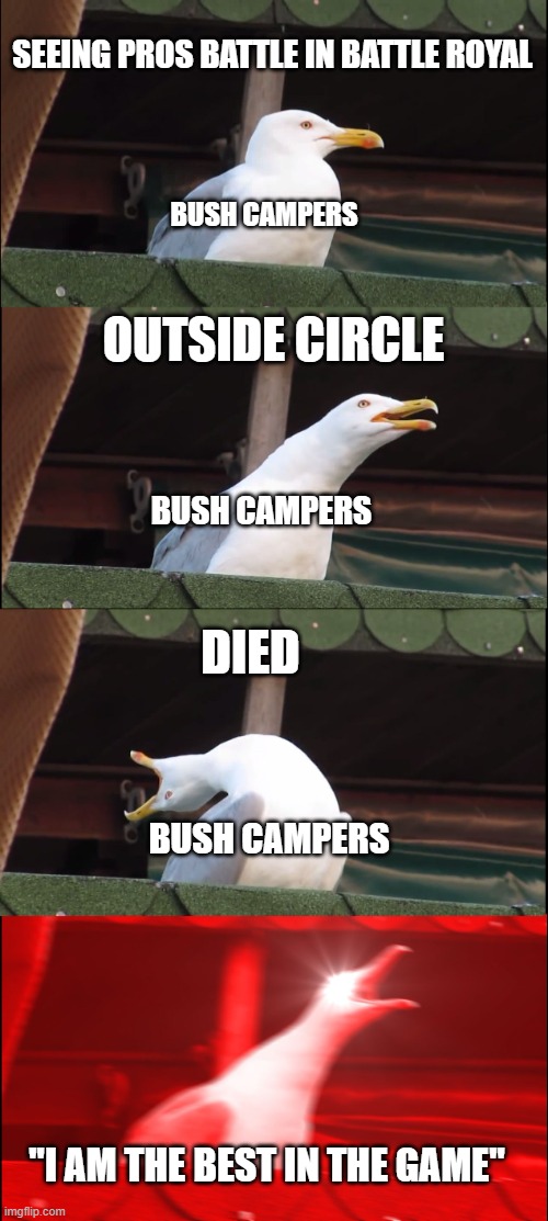 Inhaling Seagull | SEEING PROS BATTLE IN BATTLE ROYAL; BUSH CAMPERS; OUTSIDE CIRCLE; BUSH CAMPERS; DIED; BUSH CAMPERS; "I AM THE BEST IN THE GAME" | image tagged in memes,inhaling seagull | made w/ Imgflip meme maker