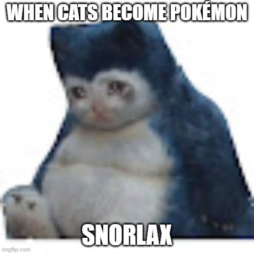 Snorlax | WHEN CATS BECOME POKÉMON; SNORLAX | image tagged in pokemon | made w/ Imgflip meme maker