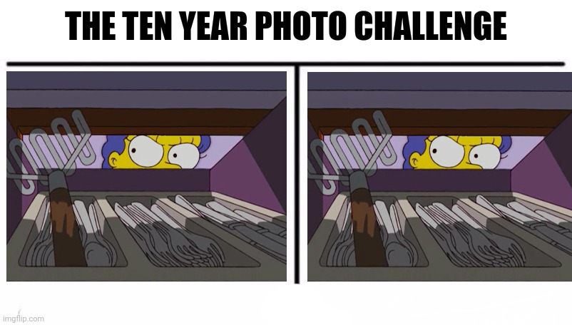 Ten Year Challenge | image tagged in ten year photo challenge template,memes,funny,challenge accepted,meanwhile on imgflip | made w/ Imgflip meme maker