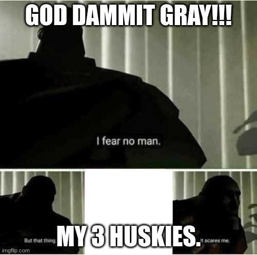 i fear that one | GOD DAMMIT GRAY!!! MY 3 HUSKIES. | image tagged in i fear no man | made w/ Imgflip meme maker
