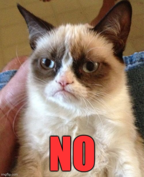 Grumpy Cat Meme | NO | image tagged in memes,grumpy cat | made w/ Imgflip meme maker