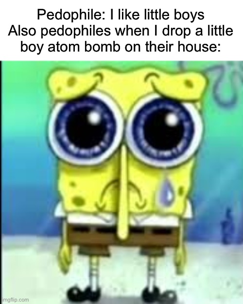 Seriously, what’s up with that? | Pedophile: I like little boys

Also pedophiles when I drop a little boy atom bomb on their house: | image tagged in spunch bop sad | made w/ Imgflip meme maker