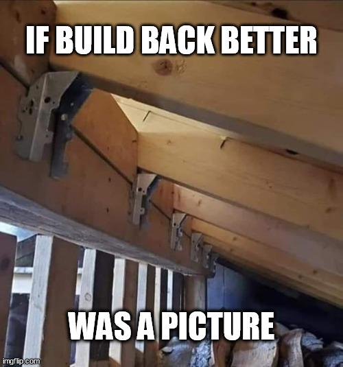 Build Back Better | IF BUILD BACK BETTER; WAS A PICTURE | image tagged in lets go brandon | made w/ Imgflip meme maker