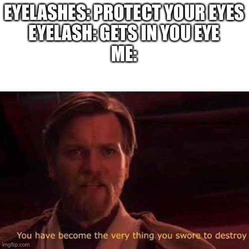 You have become the very thing you swore to destroy | EYELASHES: PROTECT YOUR EYES
EYELASH: GETS IN YOU EYE
ME: | image tagged in you have become the very thing you swore to destroy | made w/ Imgflip meme maker
