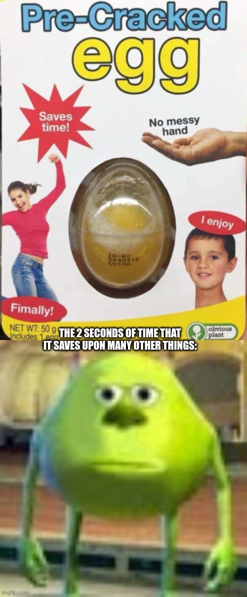 THE 2 SECONDS OF TIME THAT IT SAVES UPON MANY OTHER THINGS: | image tagged in pre cracked egg,sully wazowski | made w/ Imgflip meme maker