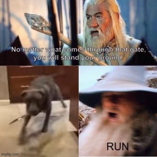 RUN- | made w/ Imgflip meme maker