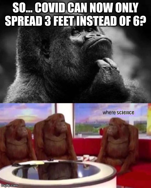 ItS sCiEnCe BeLiEvE mE | SO... COVID CAN NOW ONLY SPREAD 3 FEET INSTEAD OF 6? science | image tagged in thinking monkey,where banana blank | made w/ Imgflip meme maker