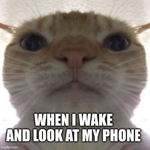 WHEN I WAKE AND LOOK AT MY PHONE | made w/ Imgflip meme maker
