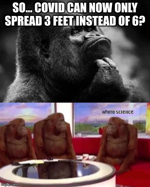 SO... COVID CAN NOW ONLY SPREAD 3 FEET INSTEAD OF 6? science | image tagged in thinking monkey,where banana blank | made w/ Imgflip meme maker