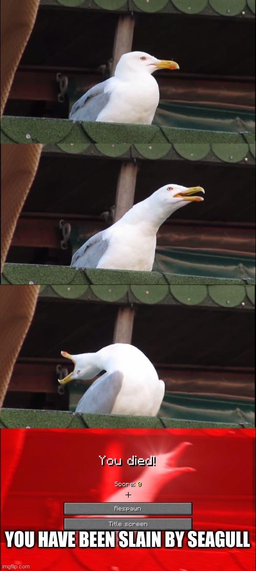 Inhaling Seagull | YOU HAVE BEEN SLAIN BY SEAGULL | image tagged in memes,inhaling seagull,minecraft | made w/ Imgflip meme maker