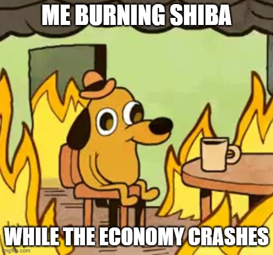 ME BURNING SHIBA | ME BURNING SHIBA; WHILE THE ECONOMY CRASHES | image tagged in its fine | made w/ Imgflip meme maker