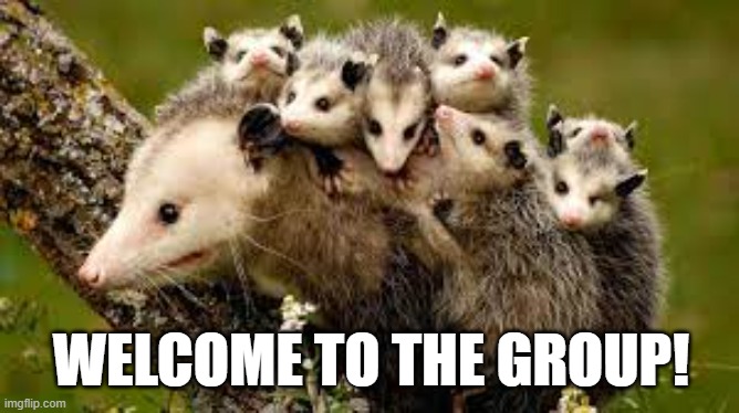 WELCOME TO THE GROUP! | made w/ Imgflip meme maker