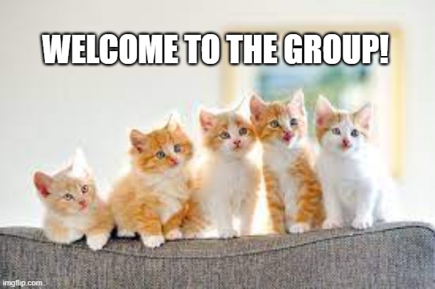 WELCOME TO THE GROUP! | made w/ Imgflip meme maker