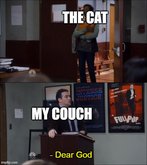 I'm surprised no one made this a meme yet | THE CAT; MY COUCH; - Dear God | image tagged in community,cat,cats,abed dear god | made w/ Imgflip meme maker