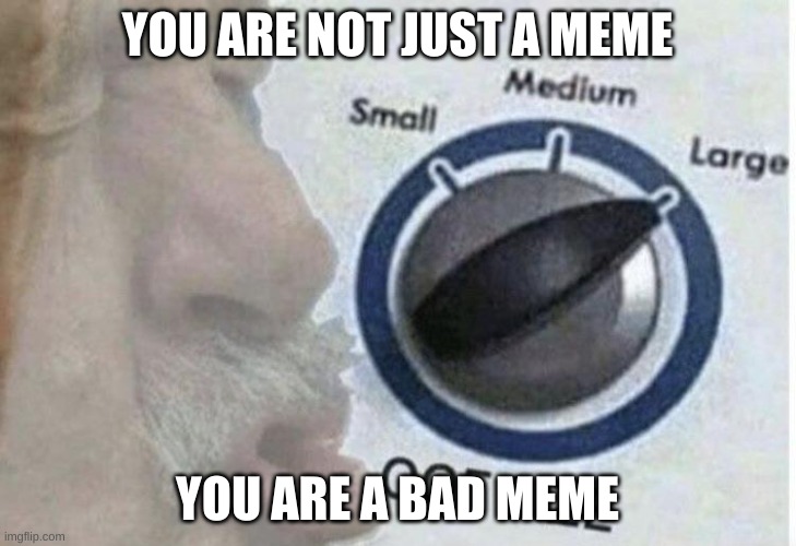 Oof size large | YOU ARE NOT JUST A MEME; YOU ARE A BAD MEME | image tagged in oof size large | made w/ Imgflip meme maker