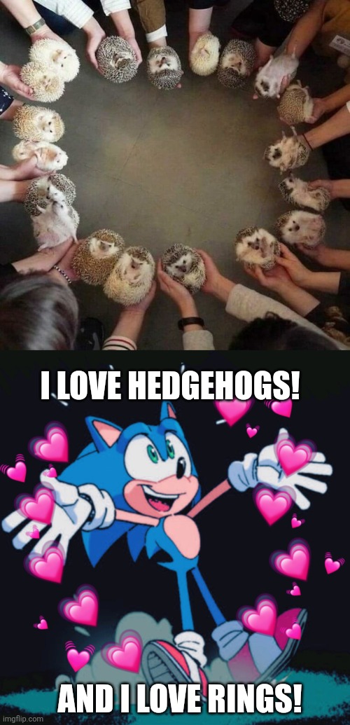 RING OF HEDGEHOGS | I LOVE HEDGEHOGS! AND I LOVE RINGS! | image tagged in sonic hearts,sonic the hedgehog,hedgehog | made w/ Imgflip meme maker
