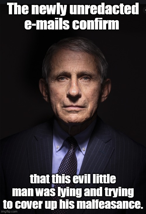 Many of us could see this almost from the start- liberalism clouds the mind. | The newly unredacted e-mails confirm; that this evil little man was lying and trying to cover up his malfeasance. | image tagged in fauci,covid-19,liberal logic,election fraud | made w/ Imgflip meme maker